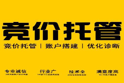 探索托管竞价sem的奥秘：一则教育行业的成功故事